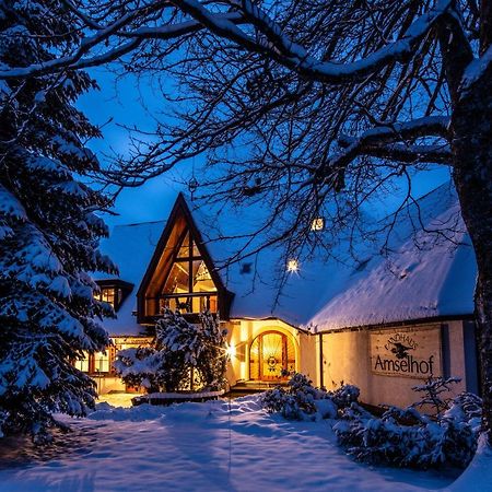 Landhaus Amselhof Hinterzarten Luaran gambar
