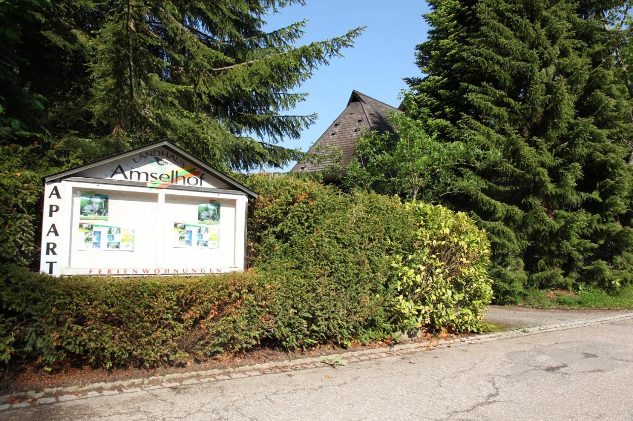 Landhaus Amselhof Hinterzarten Luaran gambar